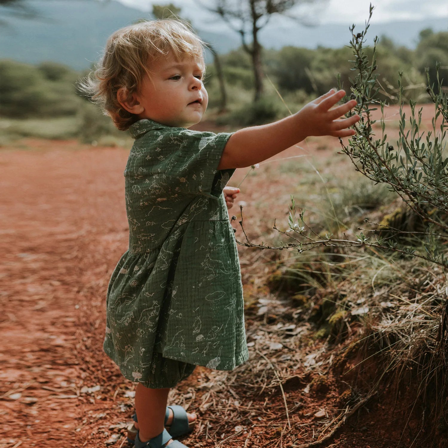 'the story' dark green dress + bloomer set